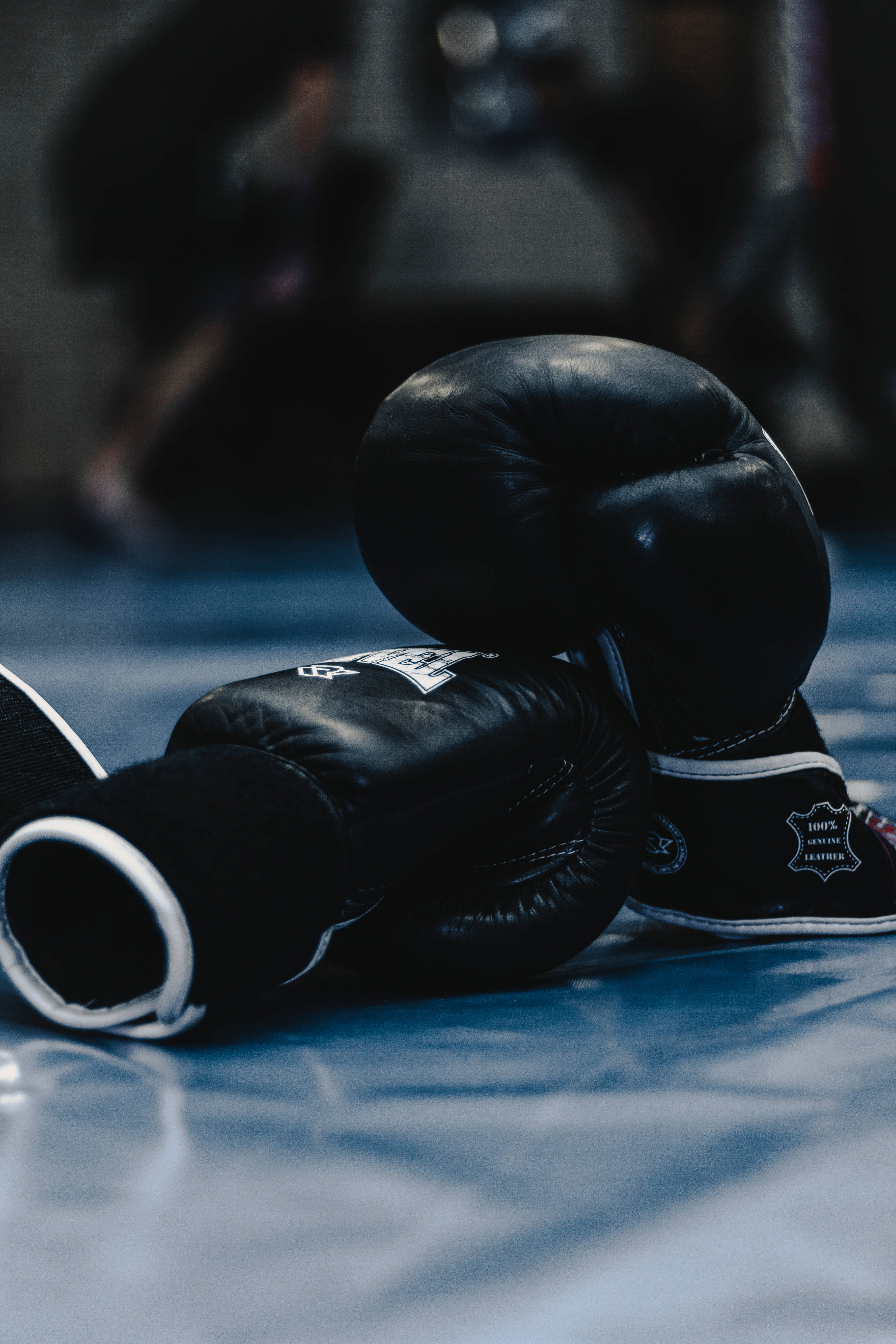 cool boxing, black boxing gloves, blue matted floor, 5K Phone Wallpaper