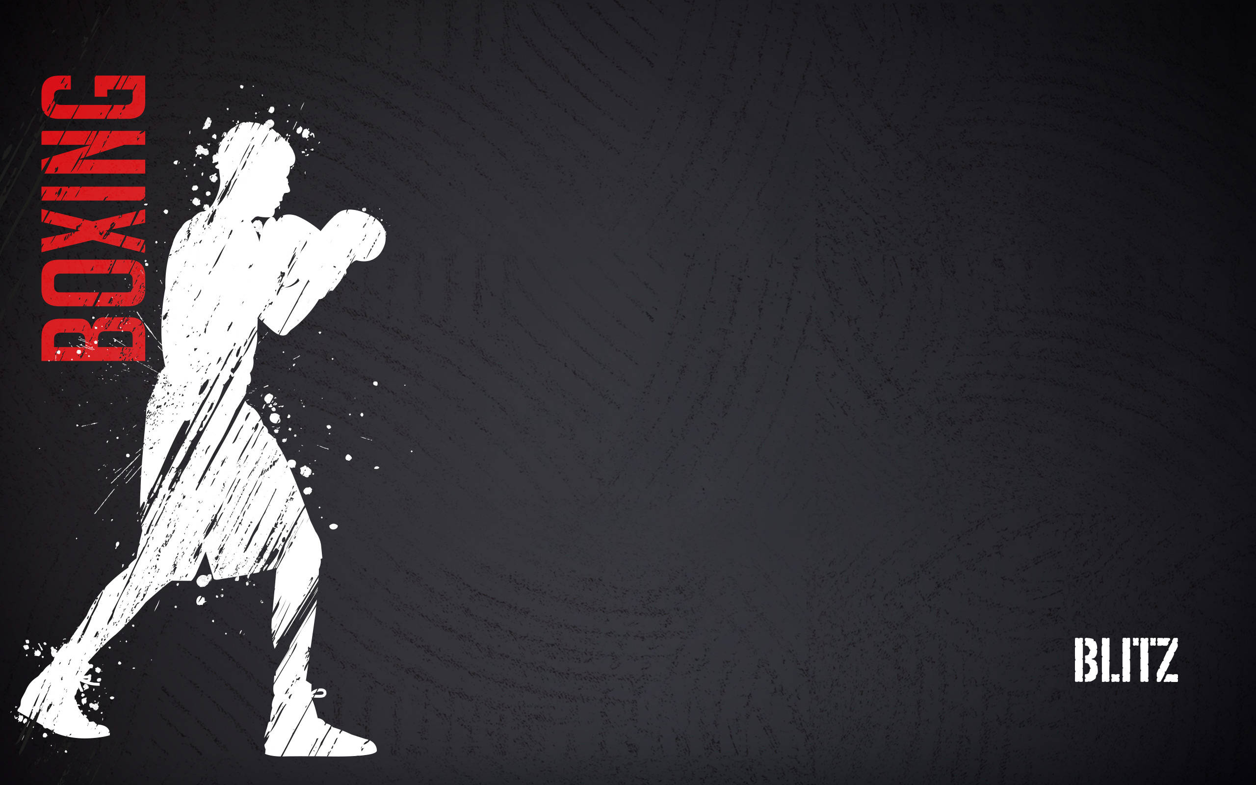 Cool Boxing, 2560 x 1600, white silhouette, 2K Desktop Wallpaper
