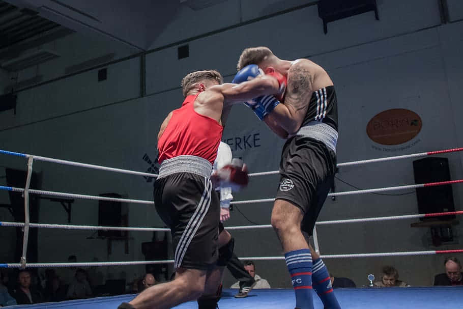 amateur boxing fight, ring, red, SD Desktop Wallpaper
