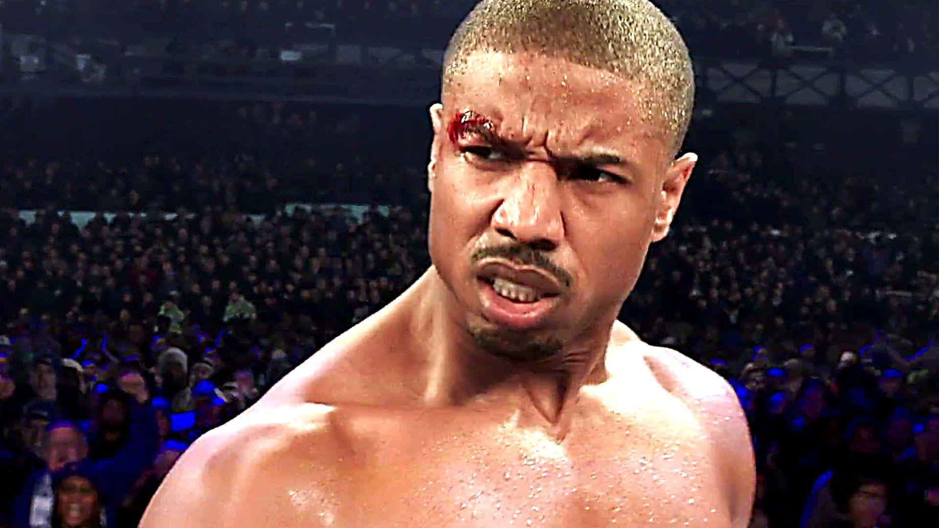 intense boxer, ring, roaring crowd, Full HD Desktop Wallpaper