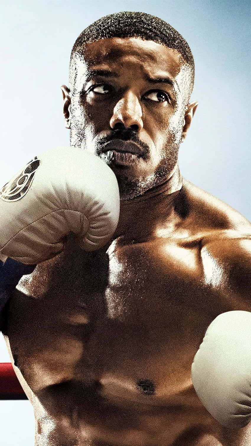 focused boxer portrait, white gloves, sweat glistening, HD Phone Wallpaper
