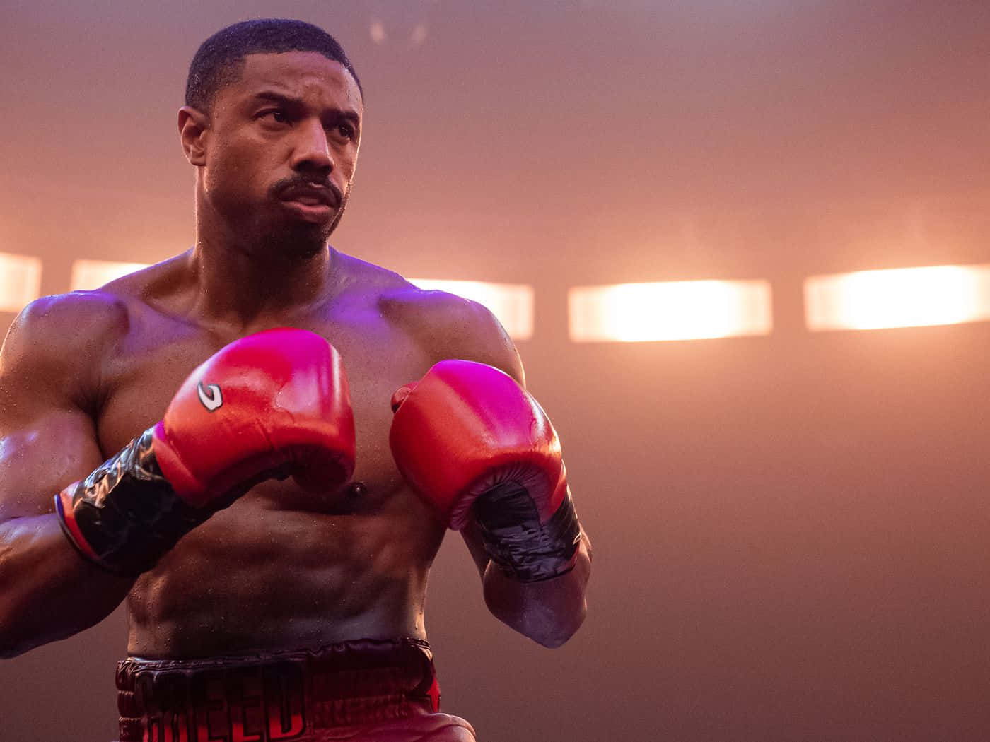focused boxer, red gloves, dimly lit ring, HD Desktop Wallpaper