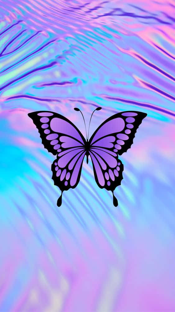 cool butterfly, purple butterfly, black outlines, SD Phone Wallpaper