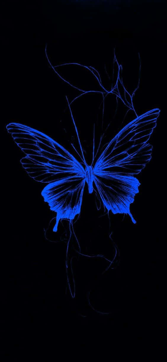 glowing blue butterfly, intricate wing veins, pure black background, SD Phone Wallpaper