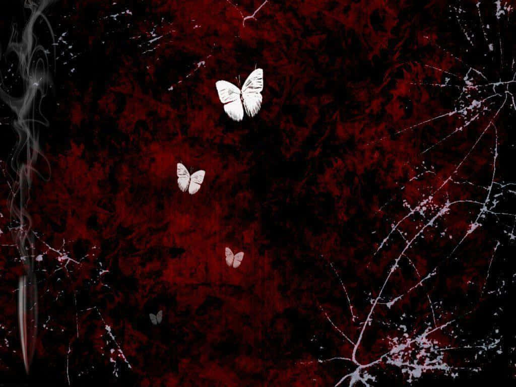 Cool Butterfly, white butterflies, dark red textured background, SD Desktop Wallpaper