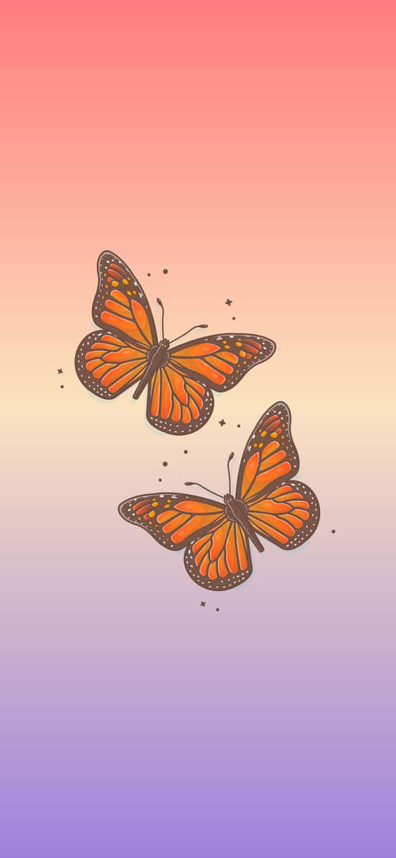 Cool Butterfly, monarch butterflies, orange wings, SD Phone Wallpaper