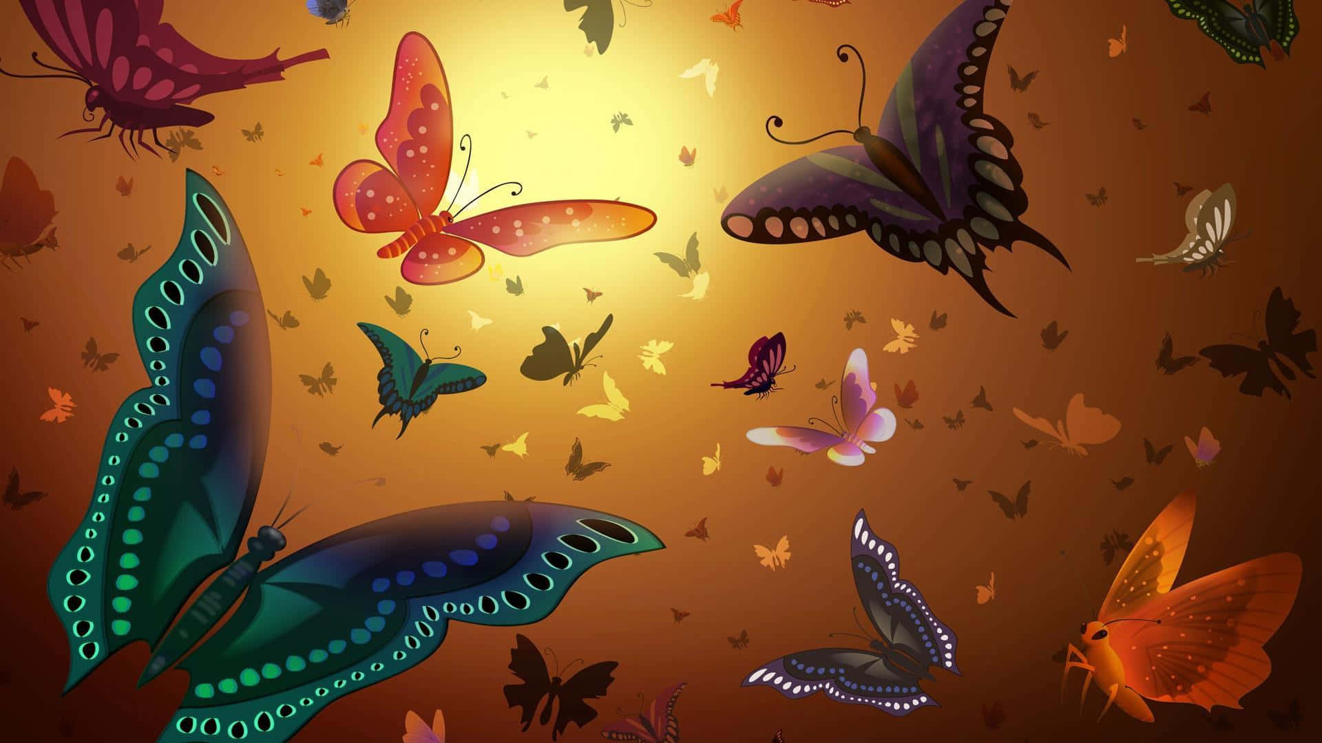 Cool Butterfly, vibrant butterflies, assorted colors, Full HD Desktop Wallpaper