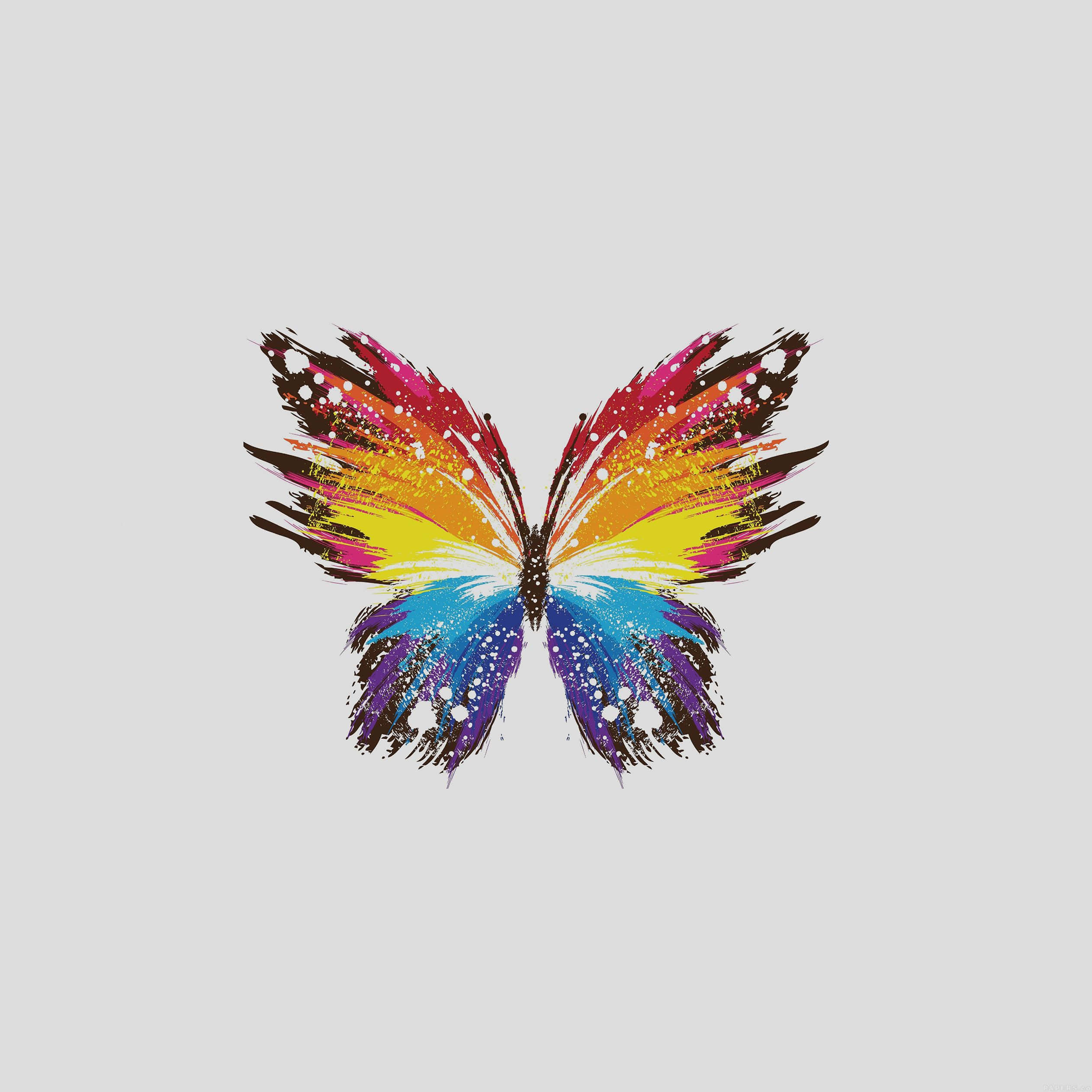 Rainbow Butterfly Art, cute girly iPad, rainbow wings, Full HD Desktop Wallpaper