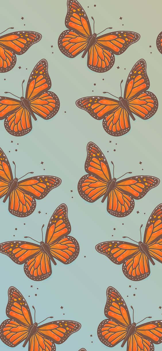 orange monarch butterflies, black veins, white spots, SD Phone Wallpaper
