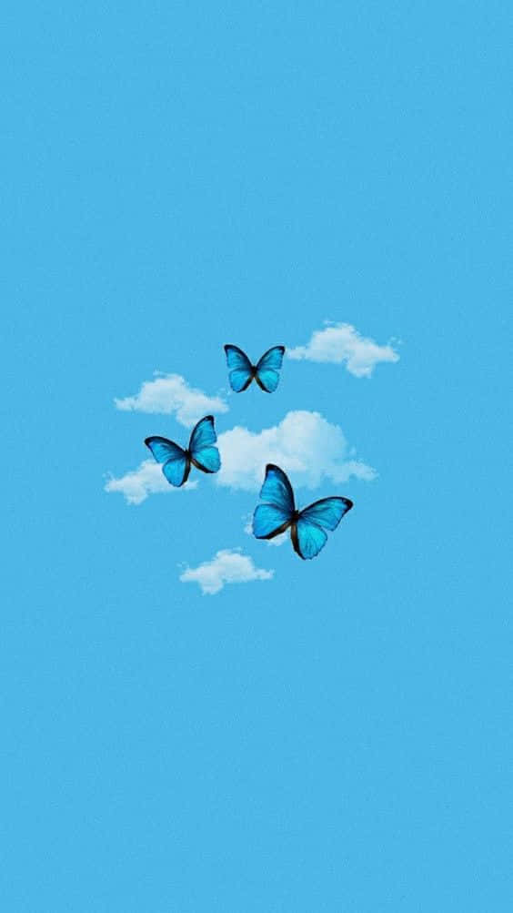 blue butterflies, fluffy white clouds, clear azure sky, SD Phone Wallpaper