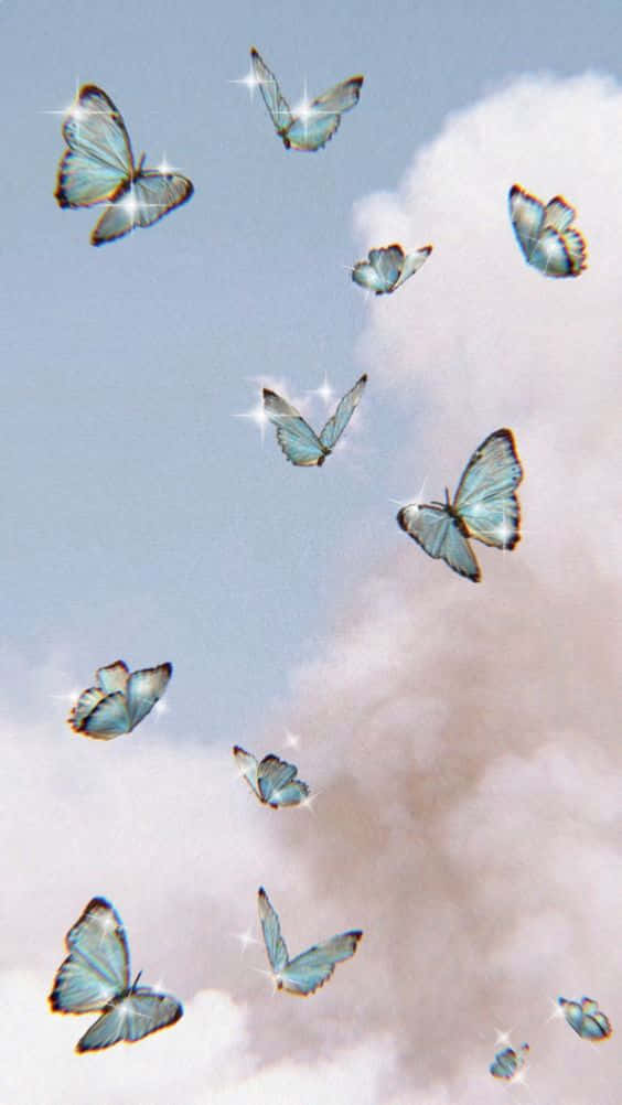 Cool Butterfly, iridescent blue butterflies, sparkling wings, SD Phone Wallpaper