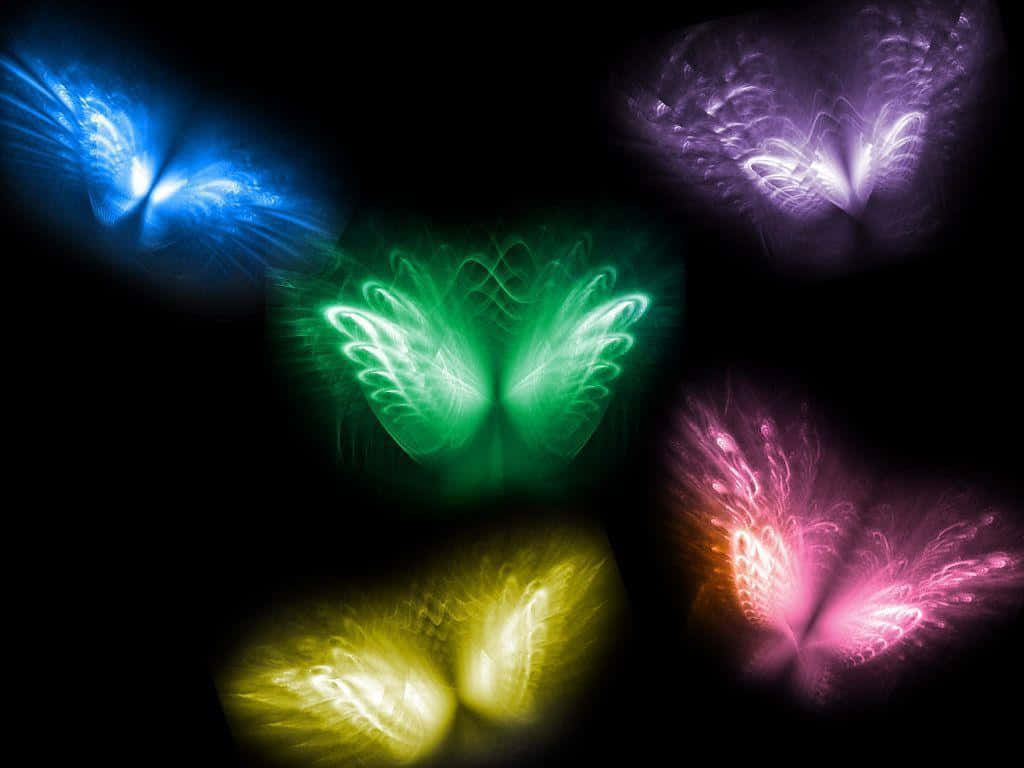 cool butterfly, blue green purple yellow pink, glowing butterfly wings, SD Desktop Wallpaper