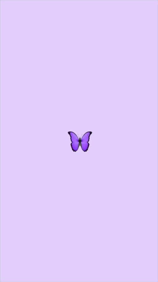 Cool Butterfly, purple butterfly, lavender background, SD Phone Wallpaper
