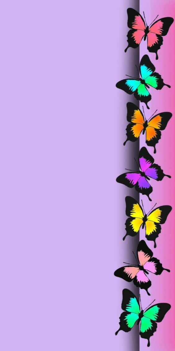 Cool Butterfly, lavender to pink gradient, vibrant multicolored butterflies, SD Phone Wallpaper