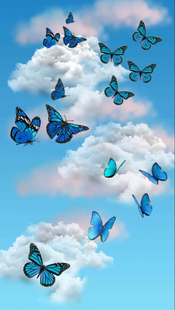 cool butterfly, blue, pink, SD Phone Wallpaper
