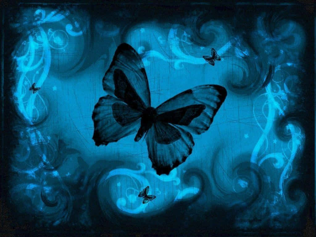 cool butterfly, dark butterfly, intricate wings, SD Desktop Wallpaper