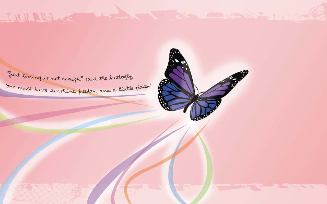 bright and colorful butterfly, vibrant purple butterfly, black veins, HD Desktop Wallpaper