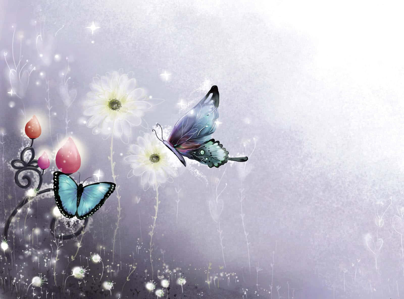 butterfly, white daisies, pink buds, HD Desktop Wallpaper