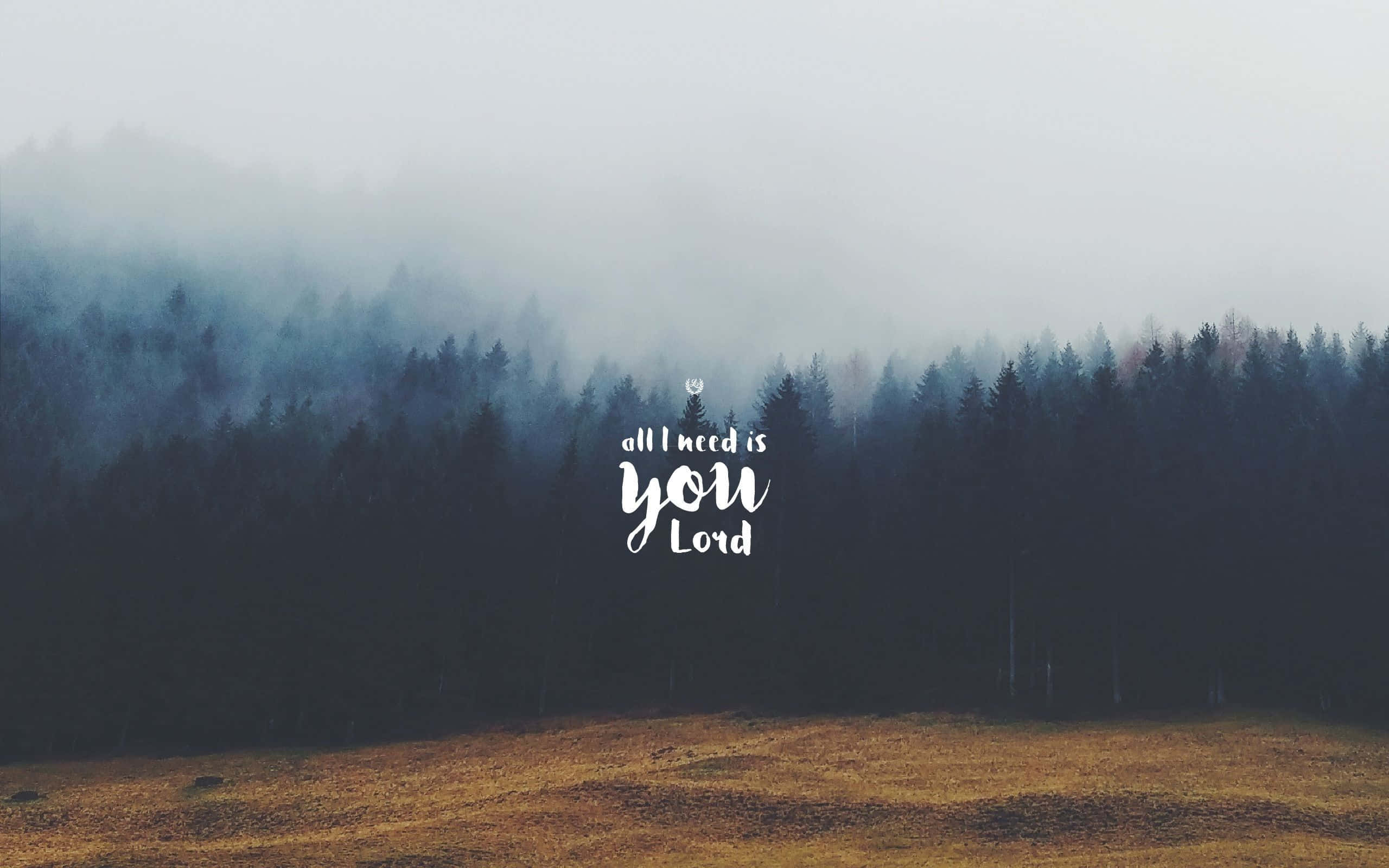Cool Christian, misty forest, dark pine trees, 2K Desktop Wallpaper