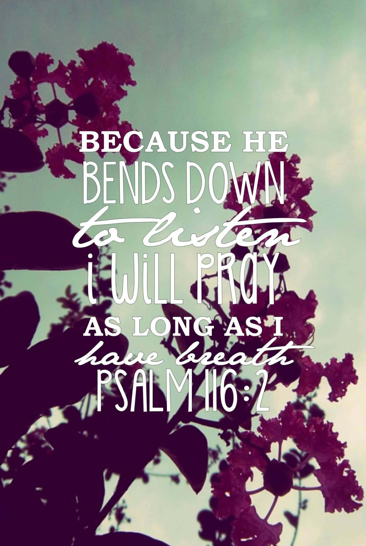 Psalm 116:2, purple flowers, serene sky, Full HD Phone Wallpaper