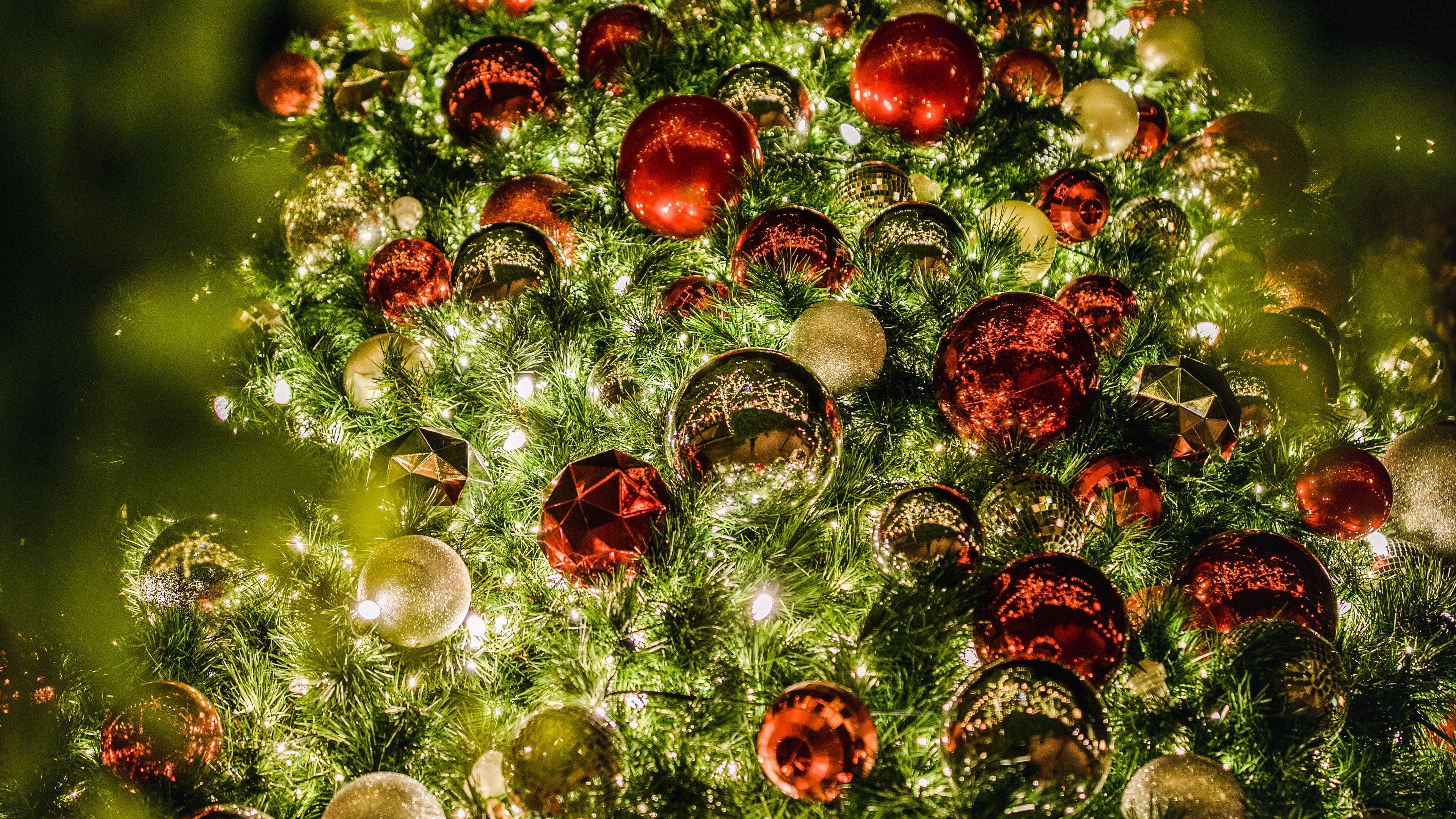 Christmas tree, lush green, shiny red gold and silver ornaments, 4K Desktop Wallpaper