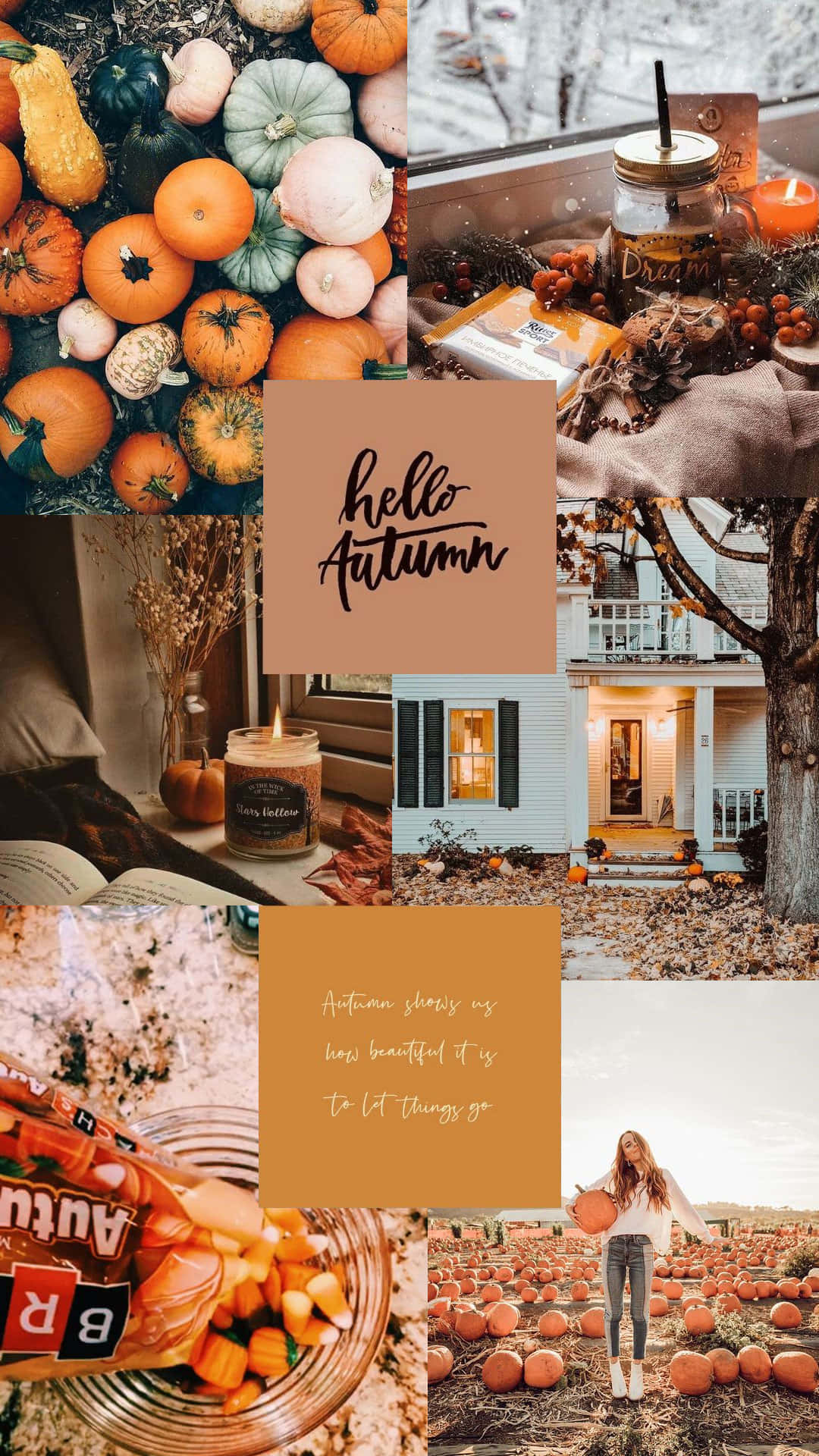 autumn, pumpkins, candles, Full HD Phone Wallpaper