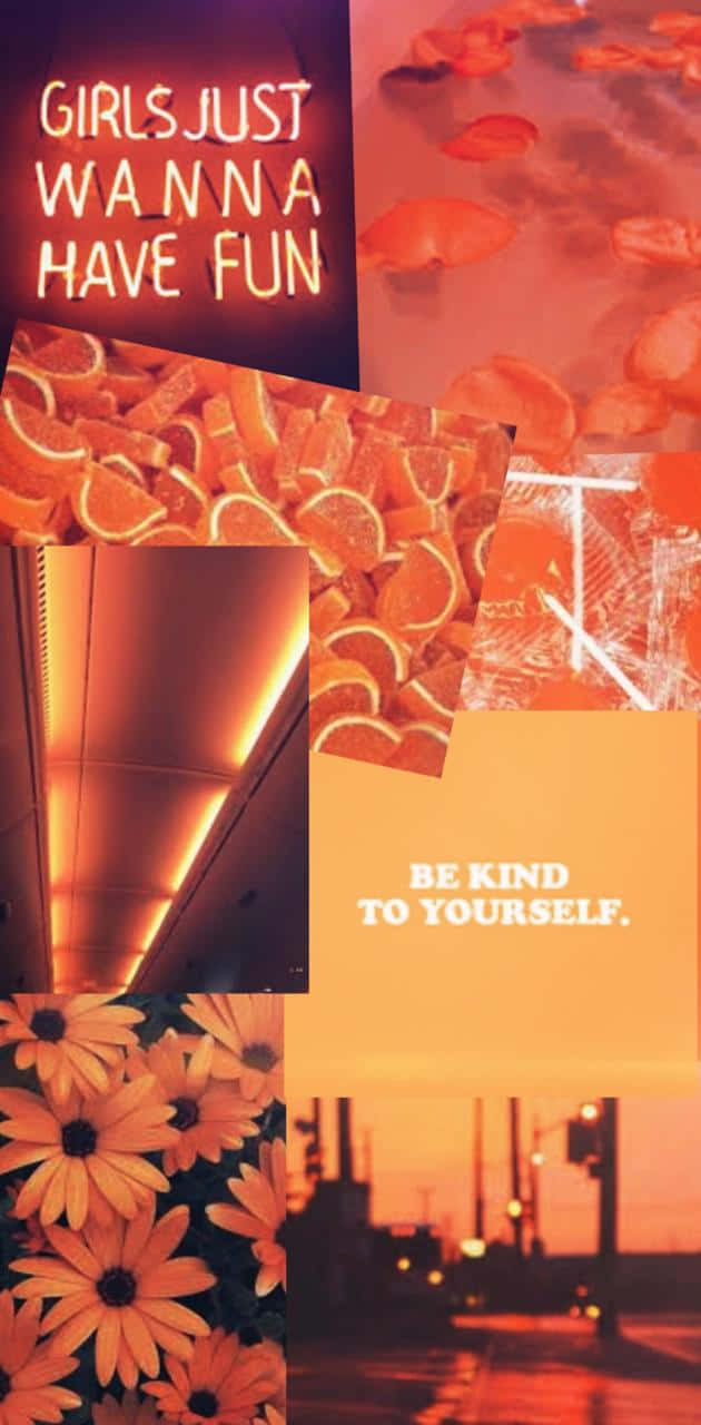 Neon Orange, citrus slices, flowers, HD Phone Wallpaper
