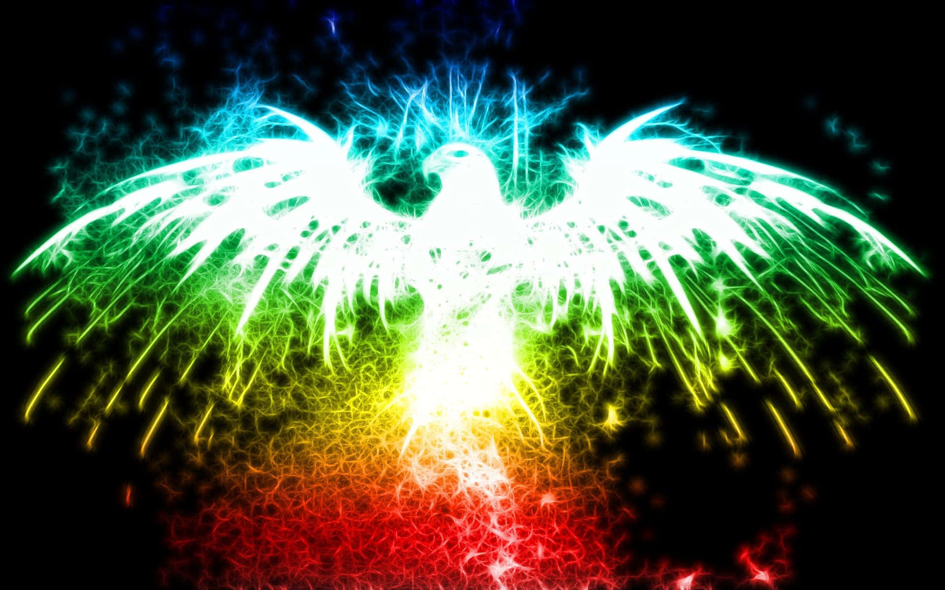 Cool Colored, phoenix, electric rainbow hues, Full HD Desktop Wallpaper