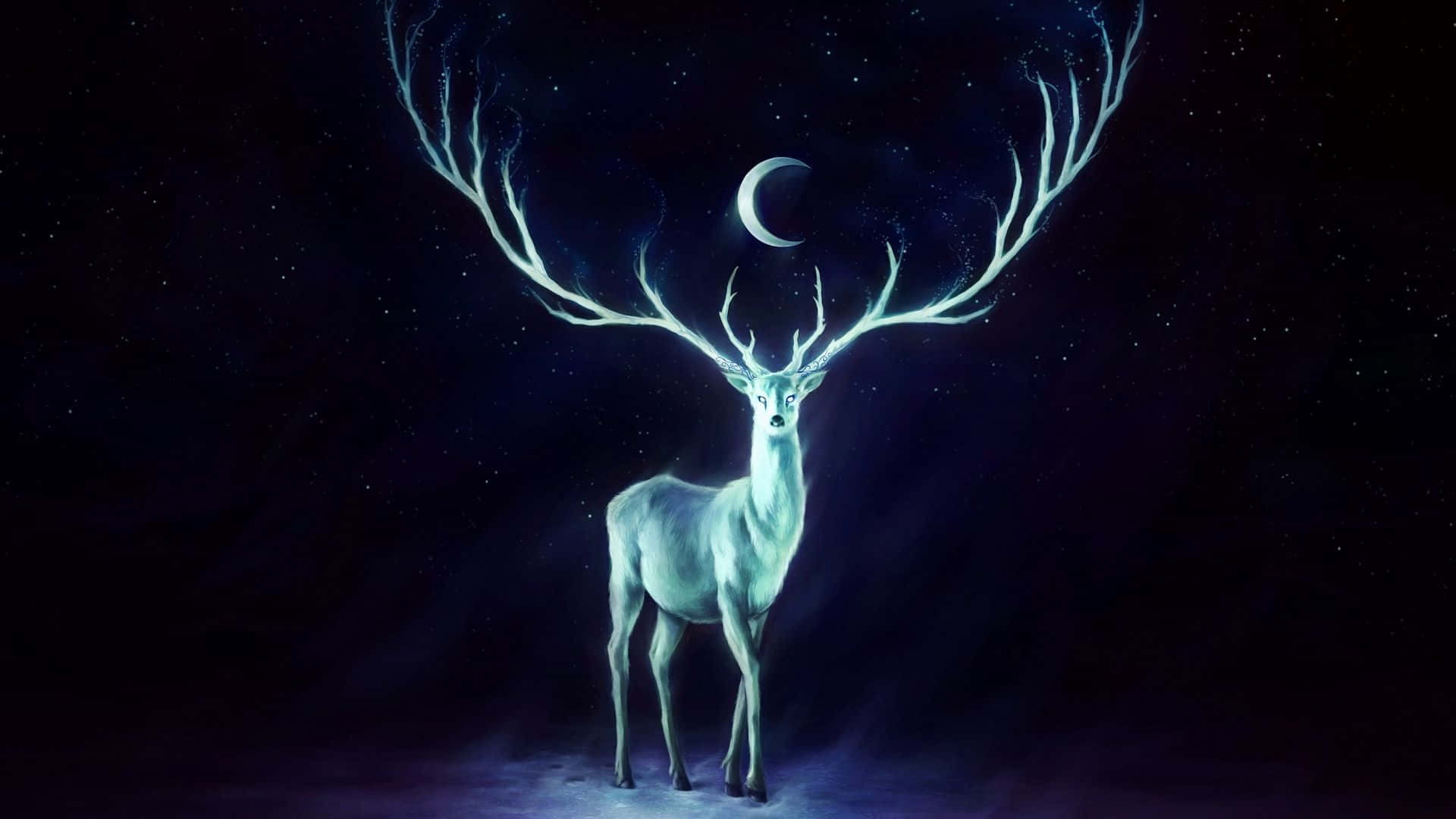 Cool Deer, luminous white stag, glowing antlers, Full HD Desktop Wallpaper