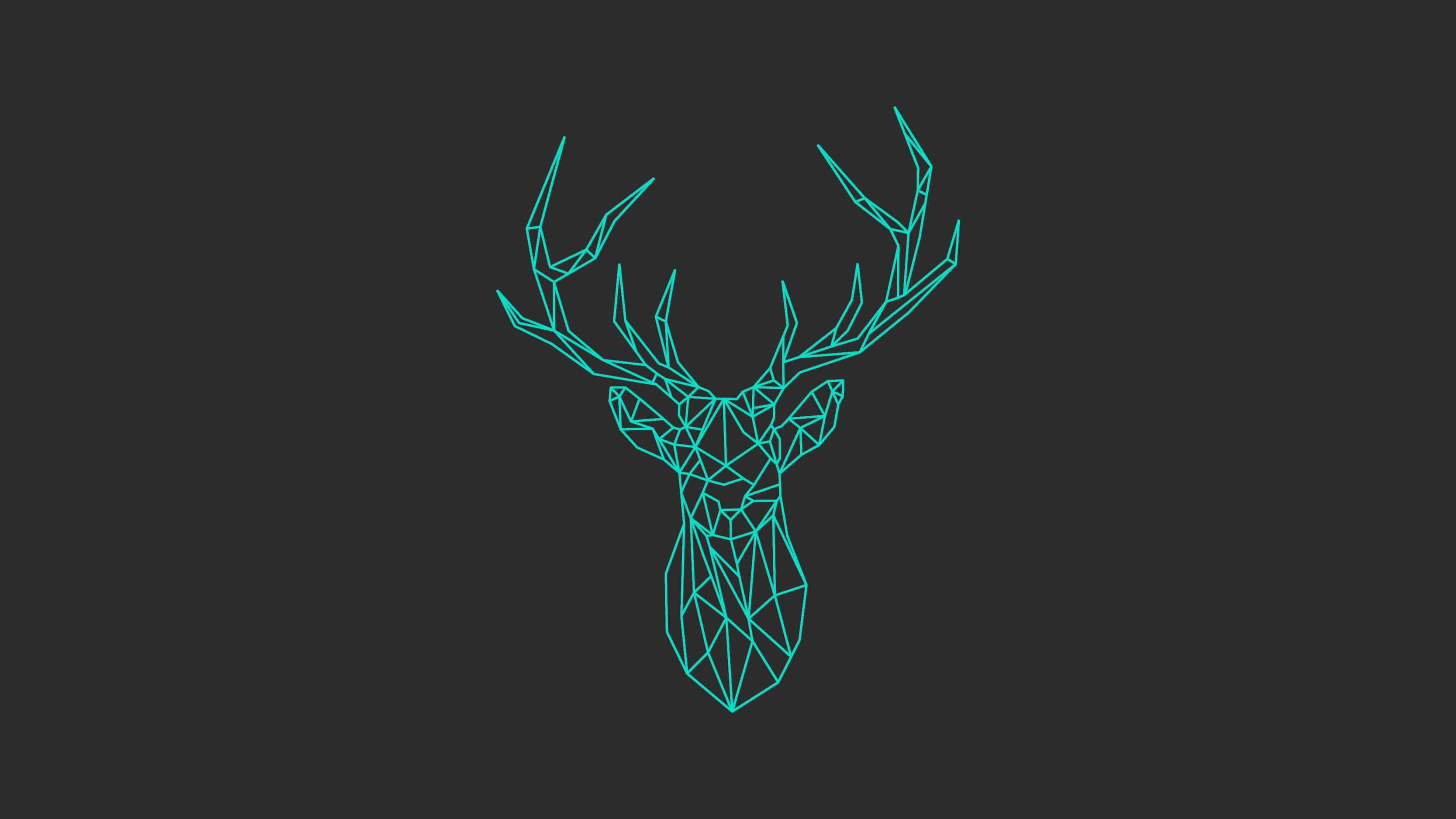 Cool Deer, teal, polygonal lines, 2K Desktop Wallpaper