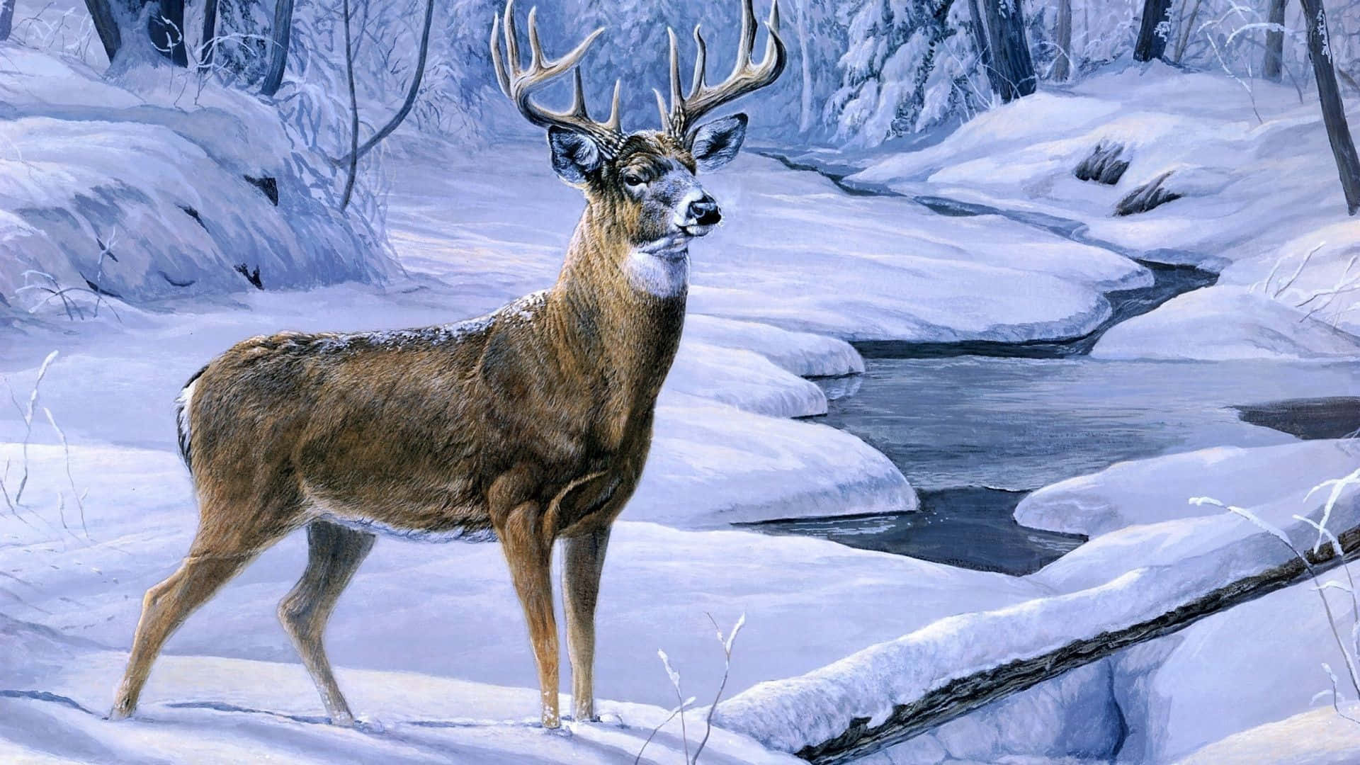 majestic stag, snowy winter forest, winding creek, Full HD Desktop Wallpaper