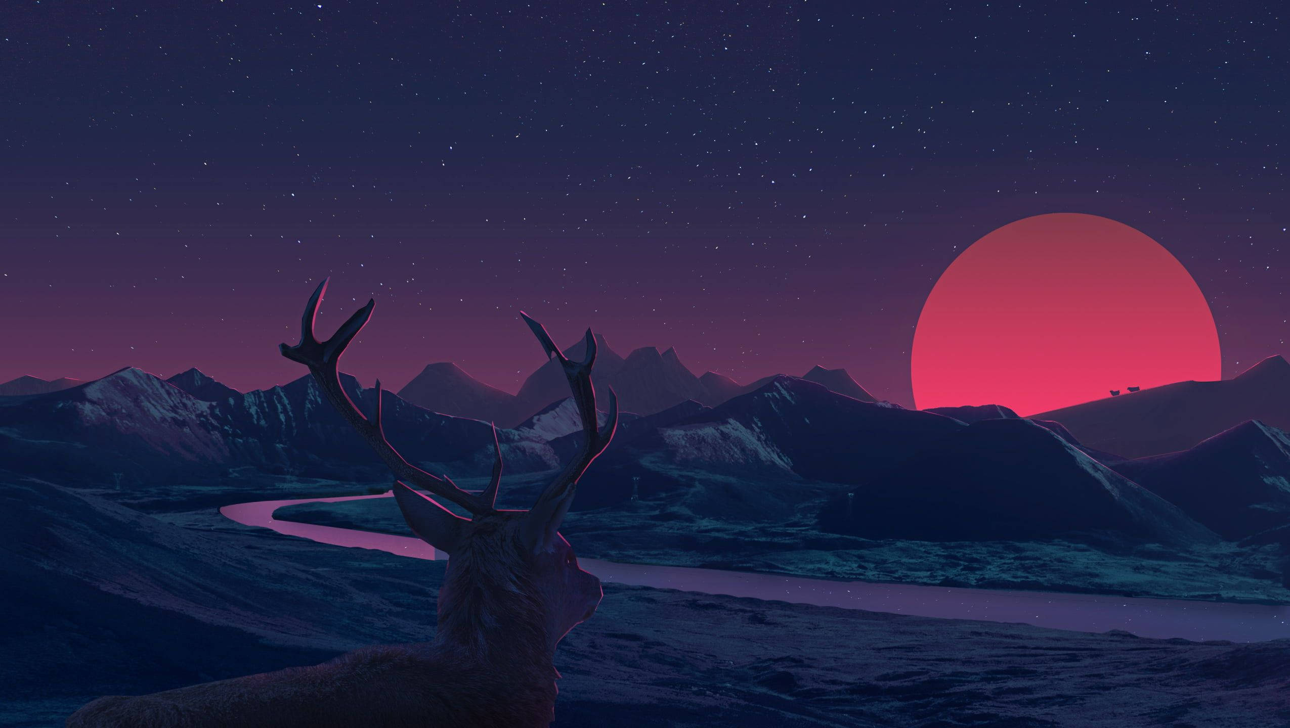 moon aesthetic deer, snowy mountain valley, starry sky, Full HD Desktop Wallpaper