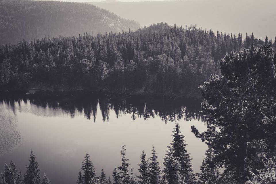 sleek black and grey iPhone, winter lake, snow-dusted pine forests, SD Desktop Wallpaper