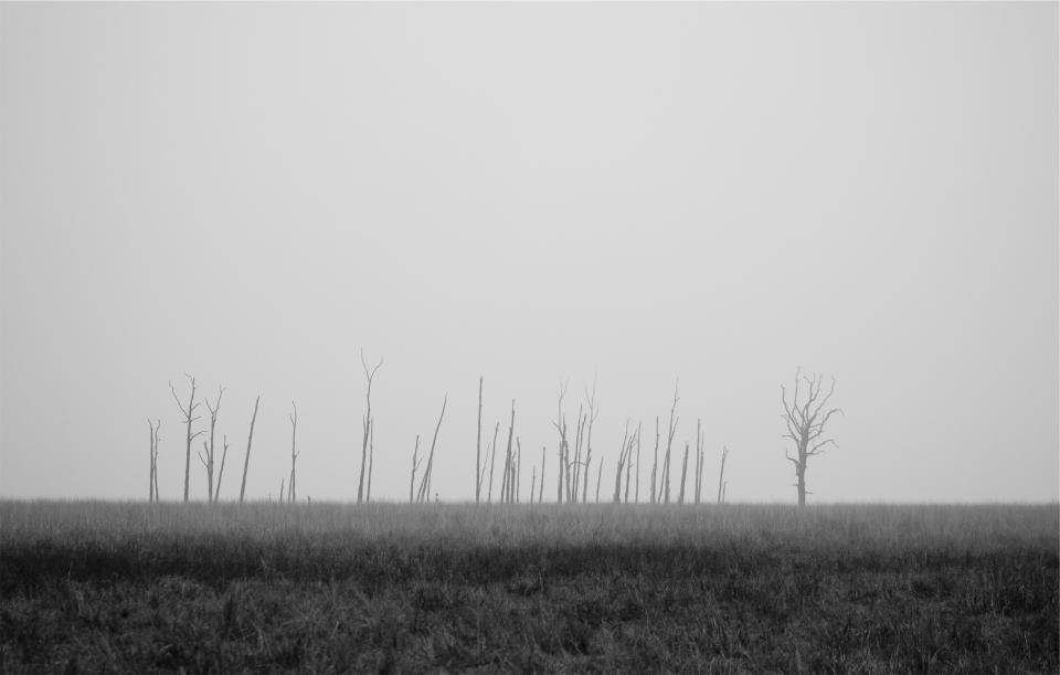 black, grey, iPhone, SD Desktop Wallpaper