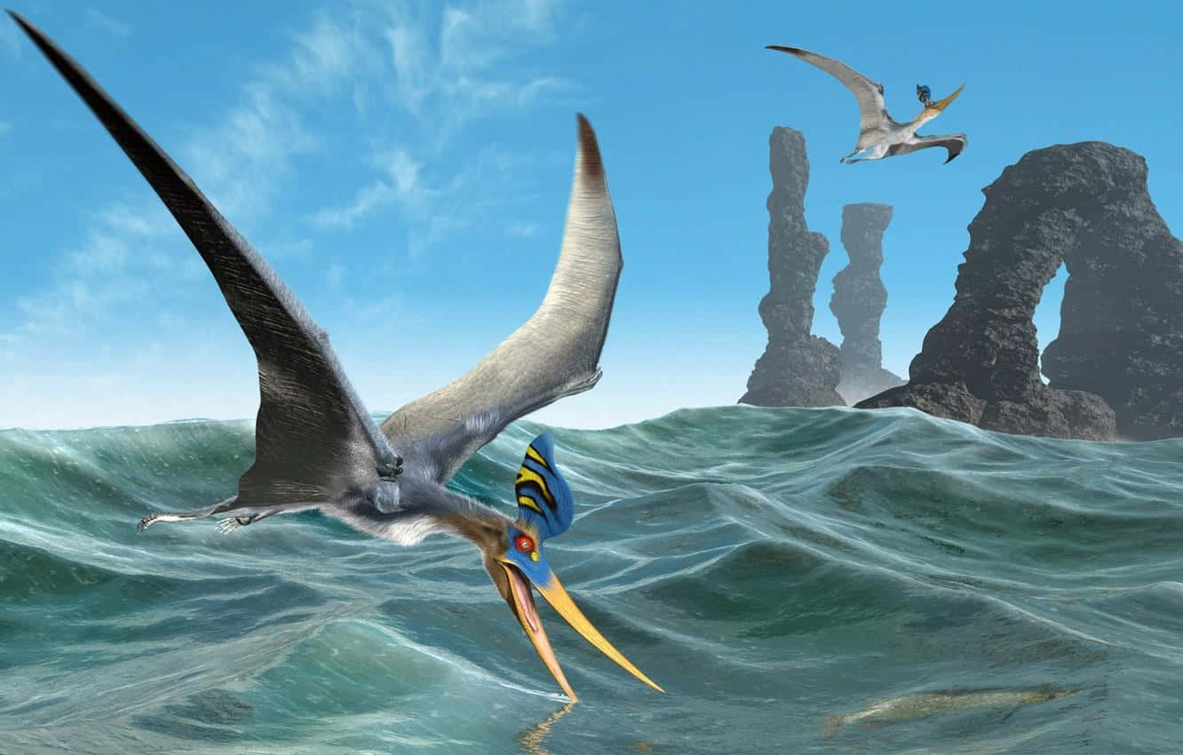 pterosaur, teal waters, rocky arches, HD Desktop Wallpaper
