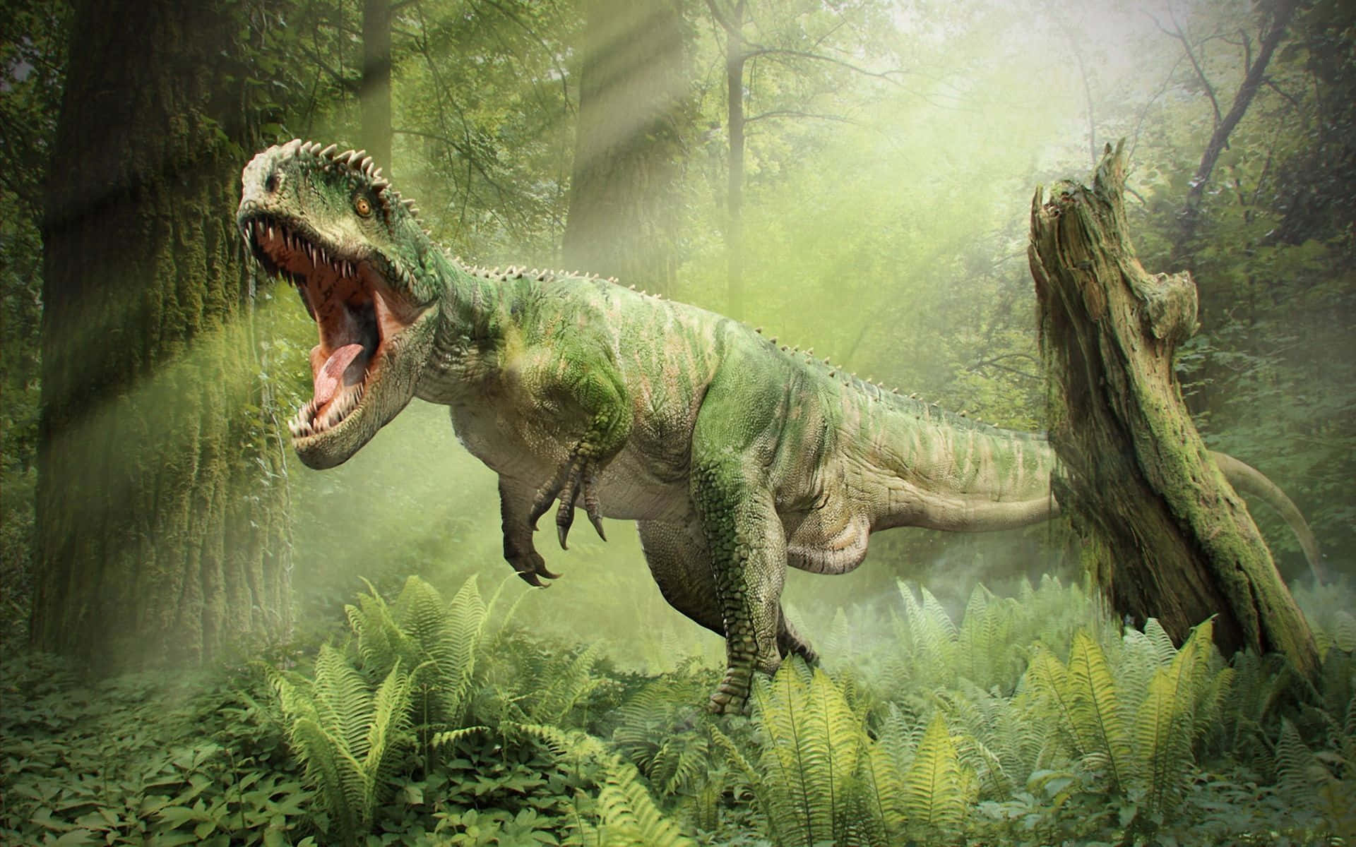 Cool Dinosaur, green dinosaur, spiked back, Full HD Desktop Wallpaper