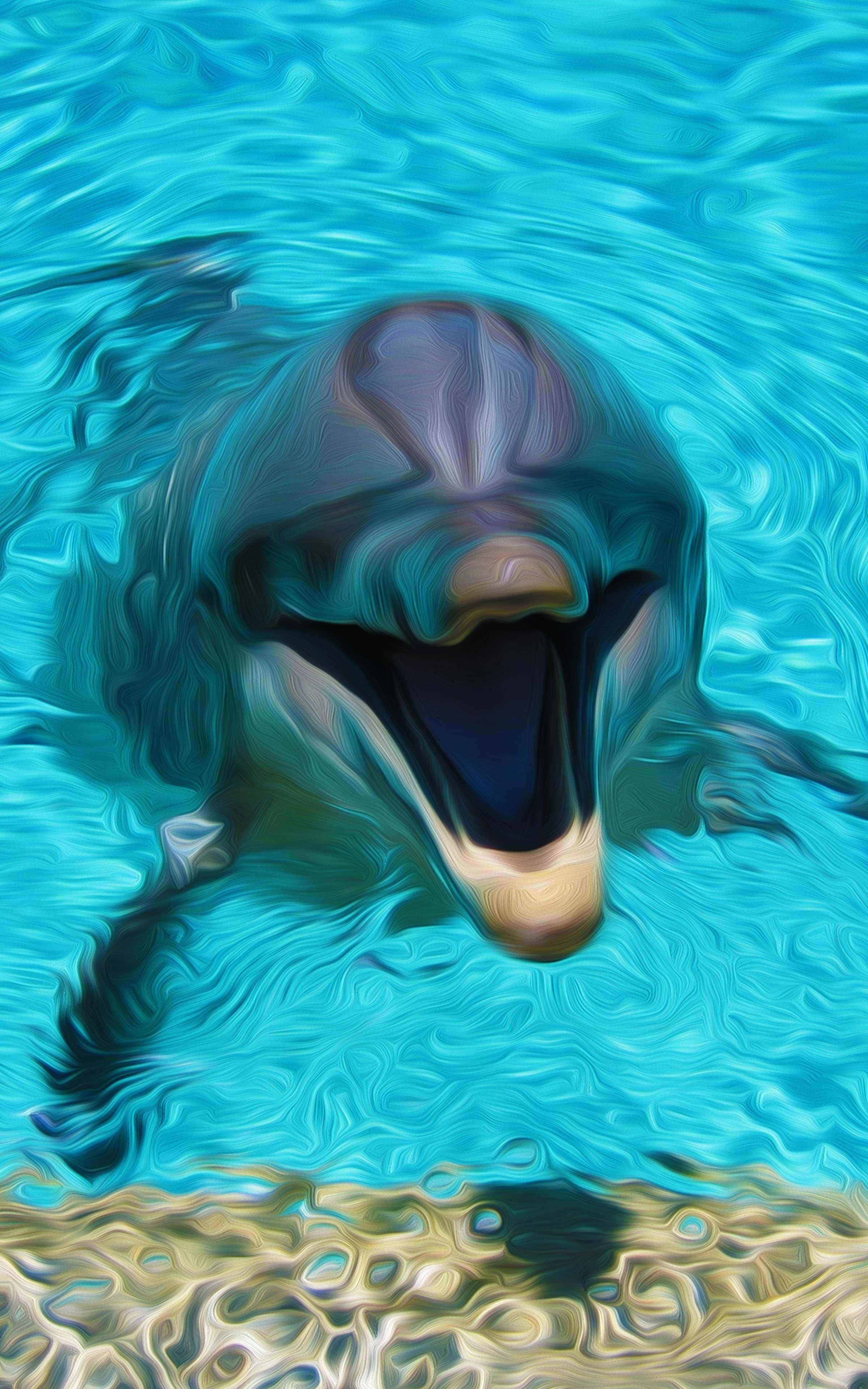 cool dolphin, dolphin, vibrant turquoise water, 4K Phone Wallpaper