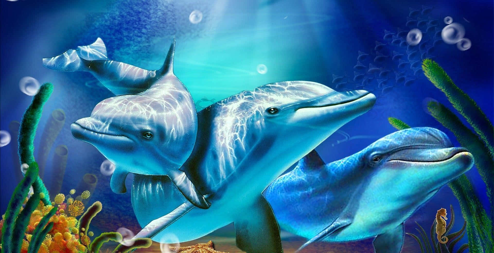 cool dolphin, blue ocean water, sunlit blue ocean waters, Full HD Desktop Wallpaper