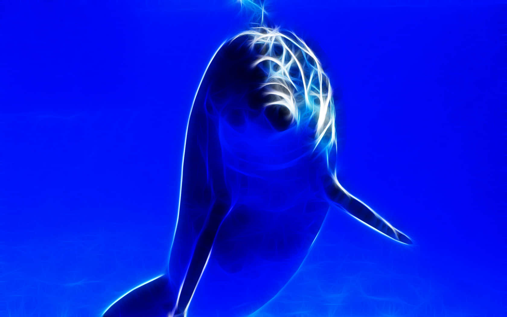 cute dolphin, electric blue energy lines, deep ocean blue background, HD Desktop Wallpaper
