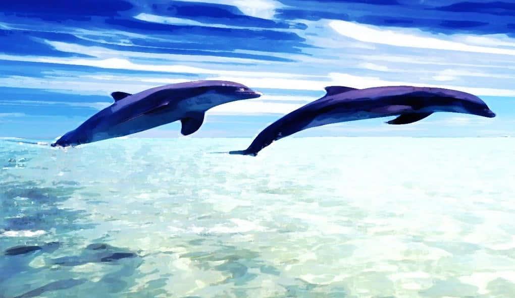 cute dolphin, digitally painted, turquoise water, SD Desktop Wallpaper