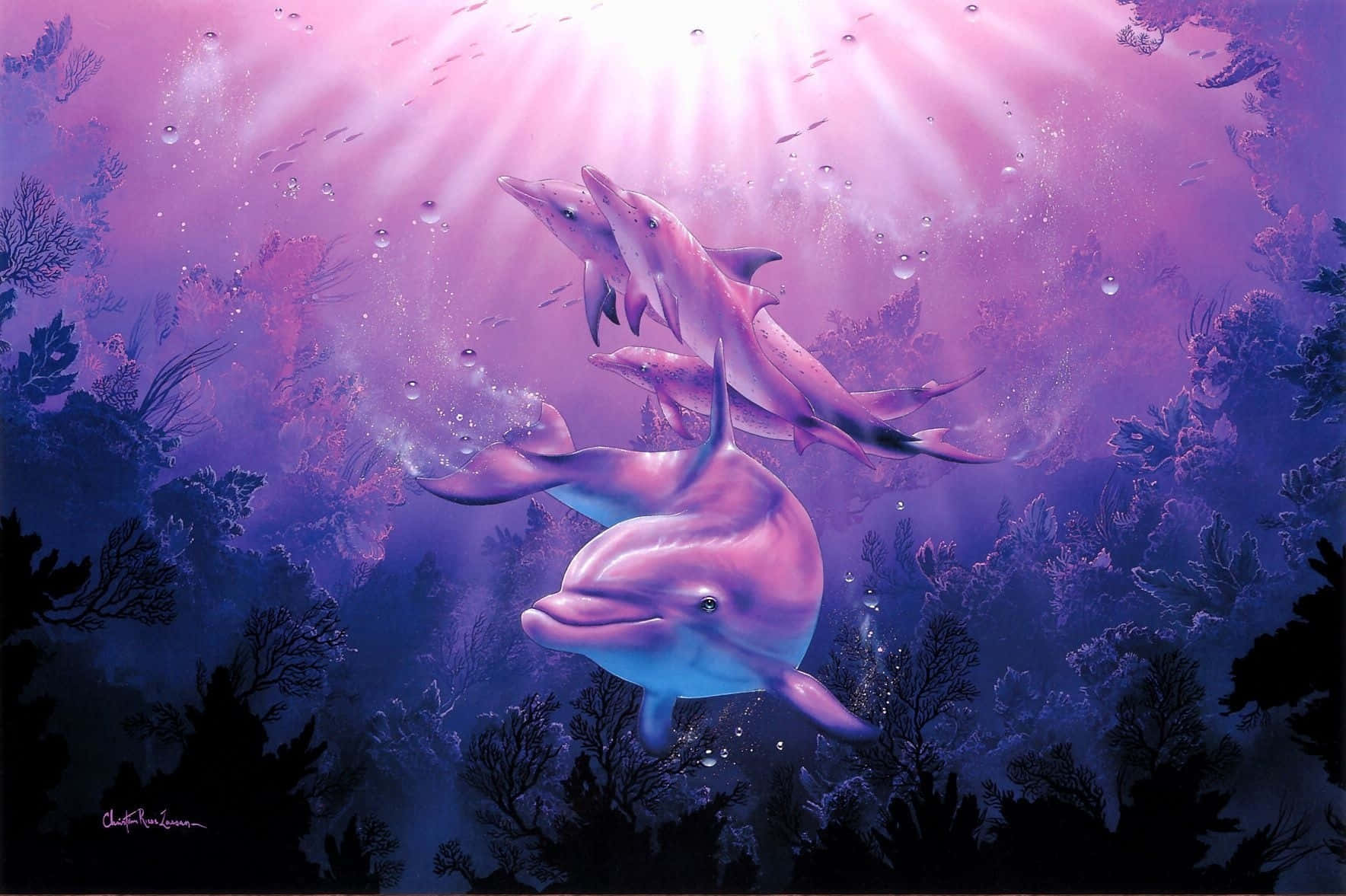 pink dolphin, dolphins, ocean, HD Desktop Wallpaper