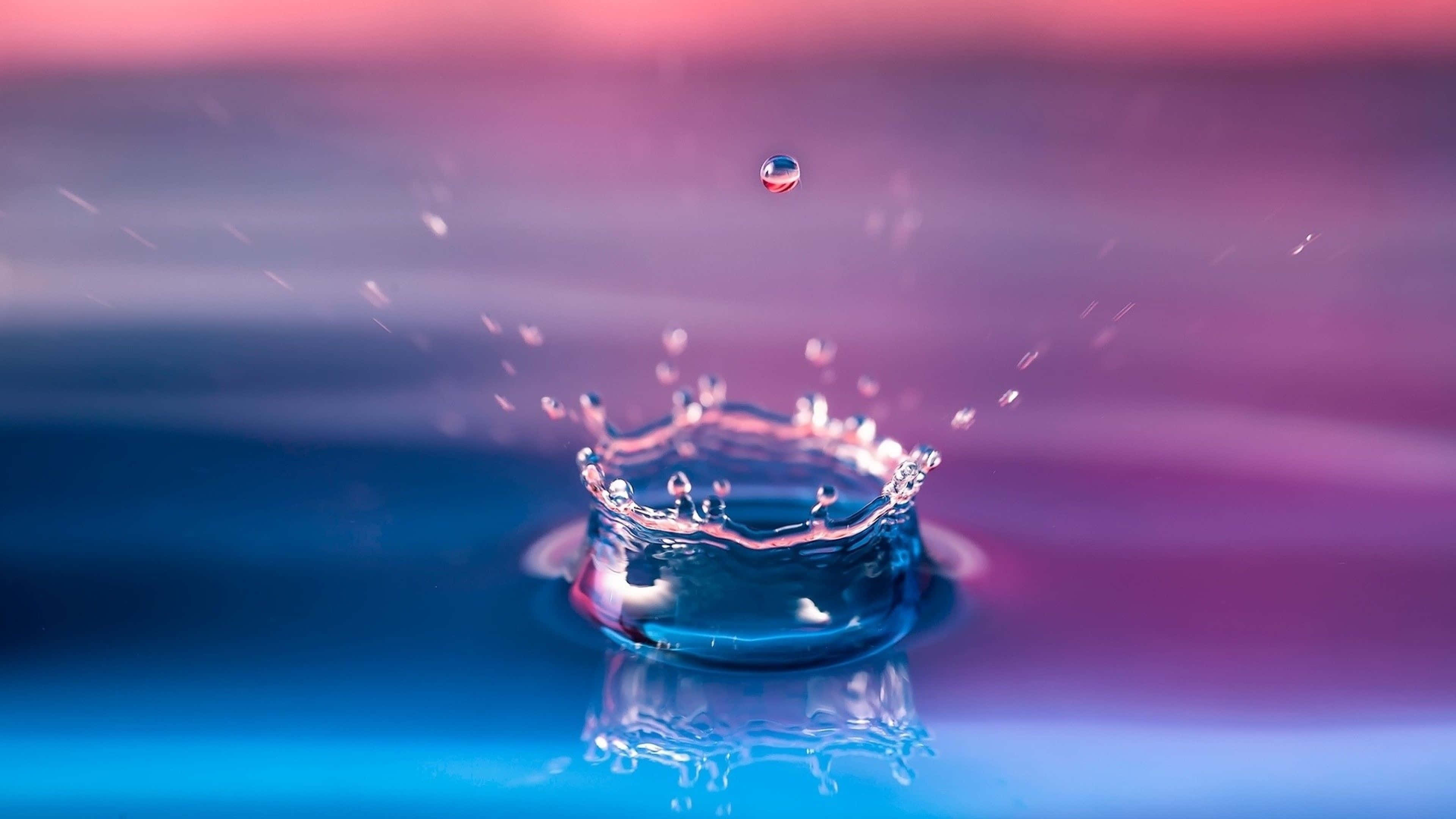 water droplet, blue and pink background, gradient blue and pink liquid surface, 4K Desktop Wallpaper