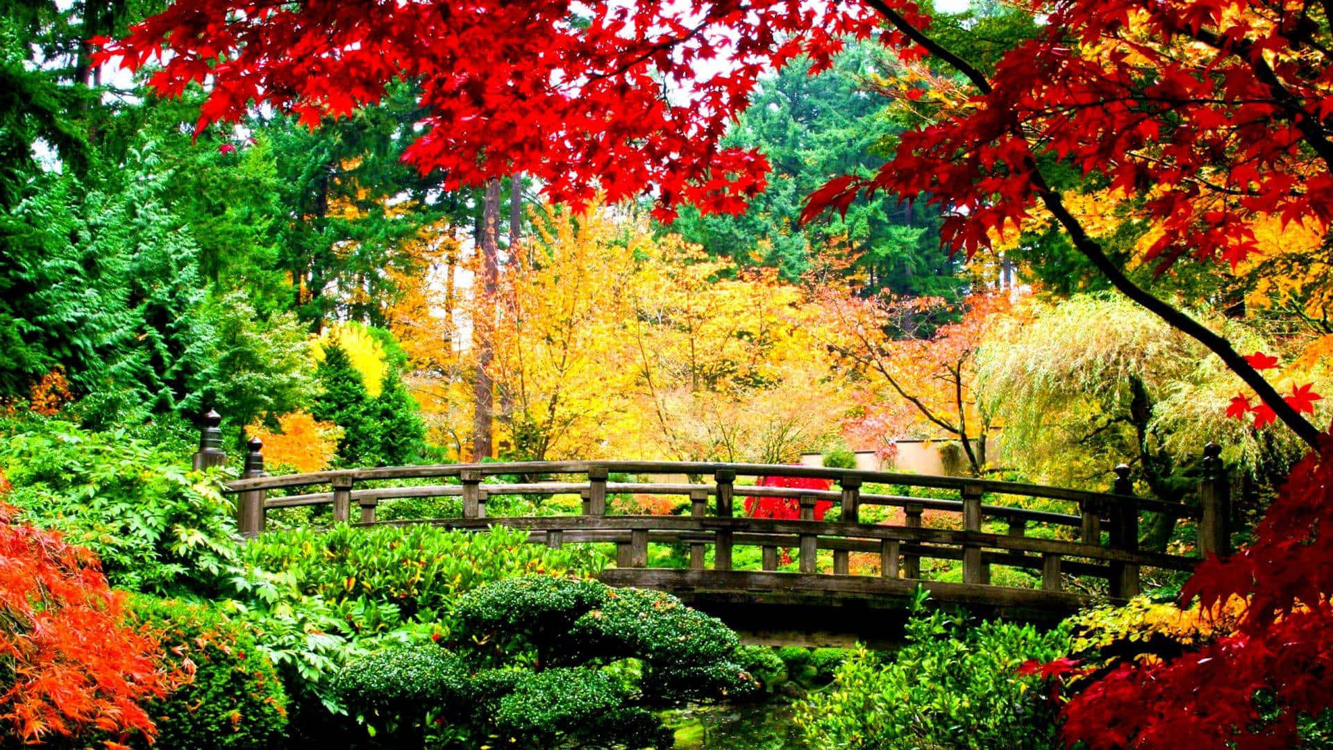 wooden bridge, tranquil pond, vibrant red, Full HD Desktop Wallpaper