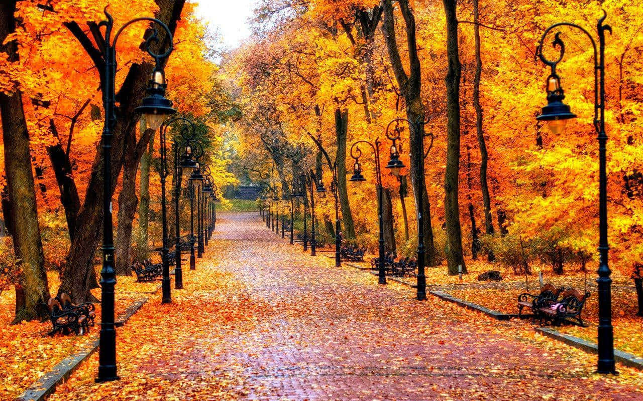 cobblestone path, ornate black lampposts, vibrant autumn park, HD Desktop Wallpaper