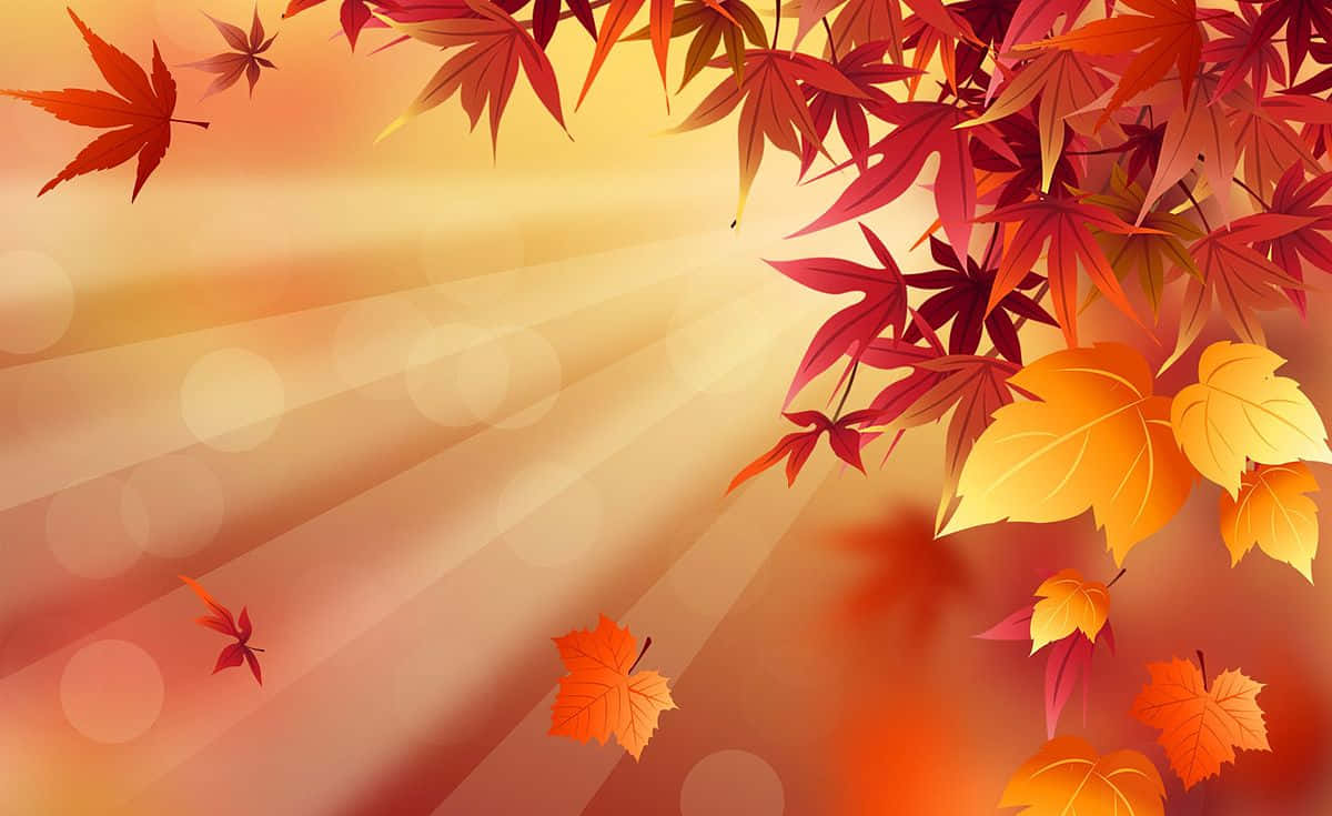 autumn maple leaves, fiery reds oranges and yellows, warm glowing sunset, SD Desktop Wallpaper