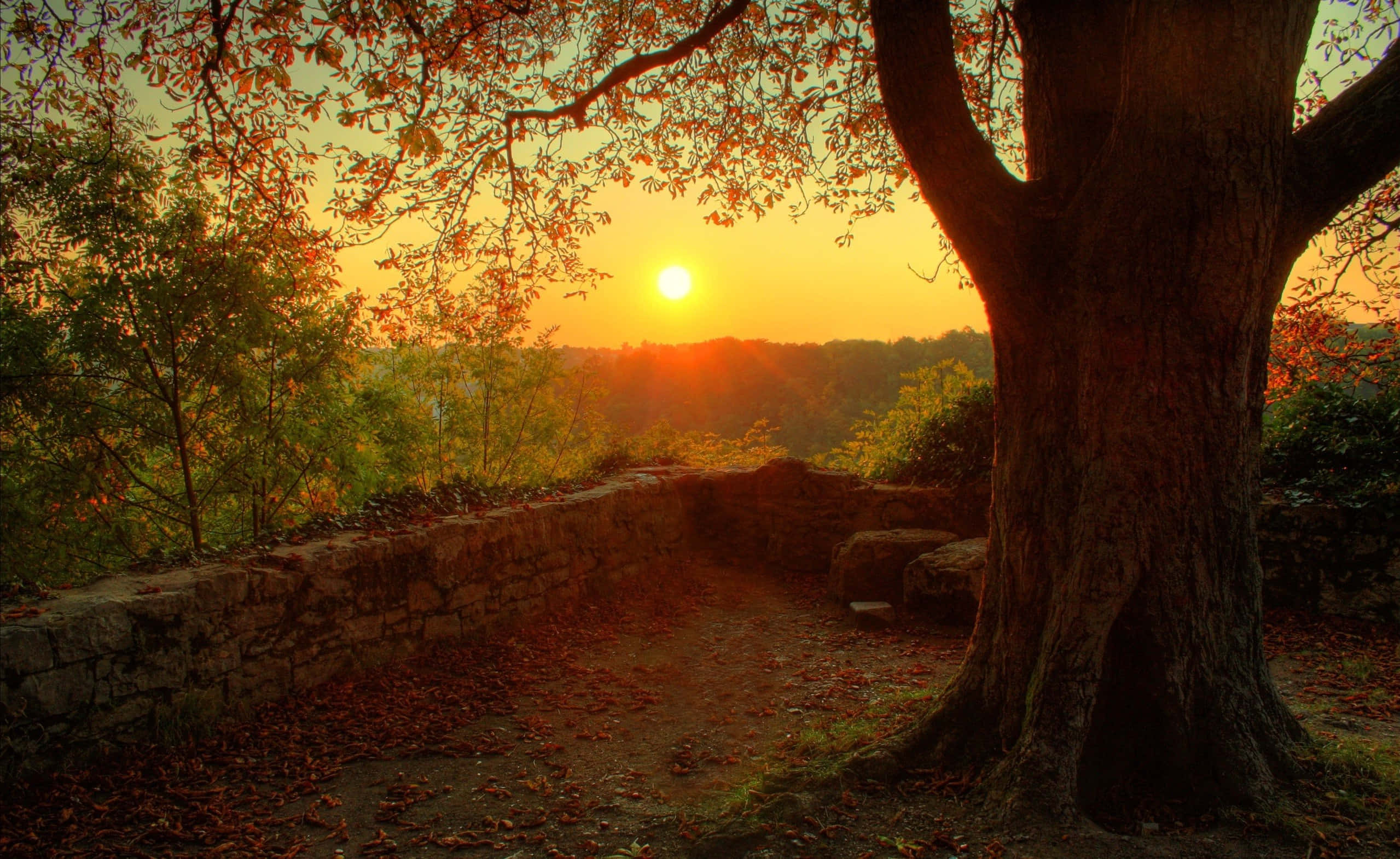 autumn leaves, warm sunset, stone ruin path, Full HD Desktop Wallpaper