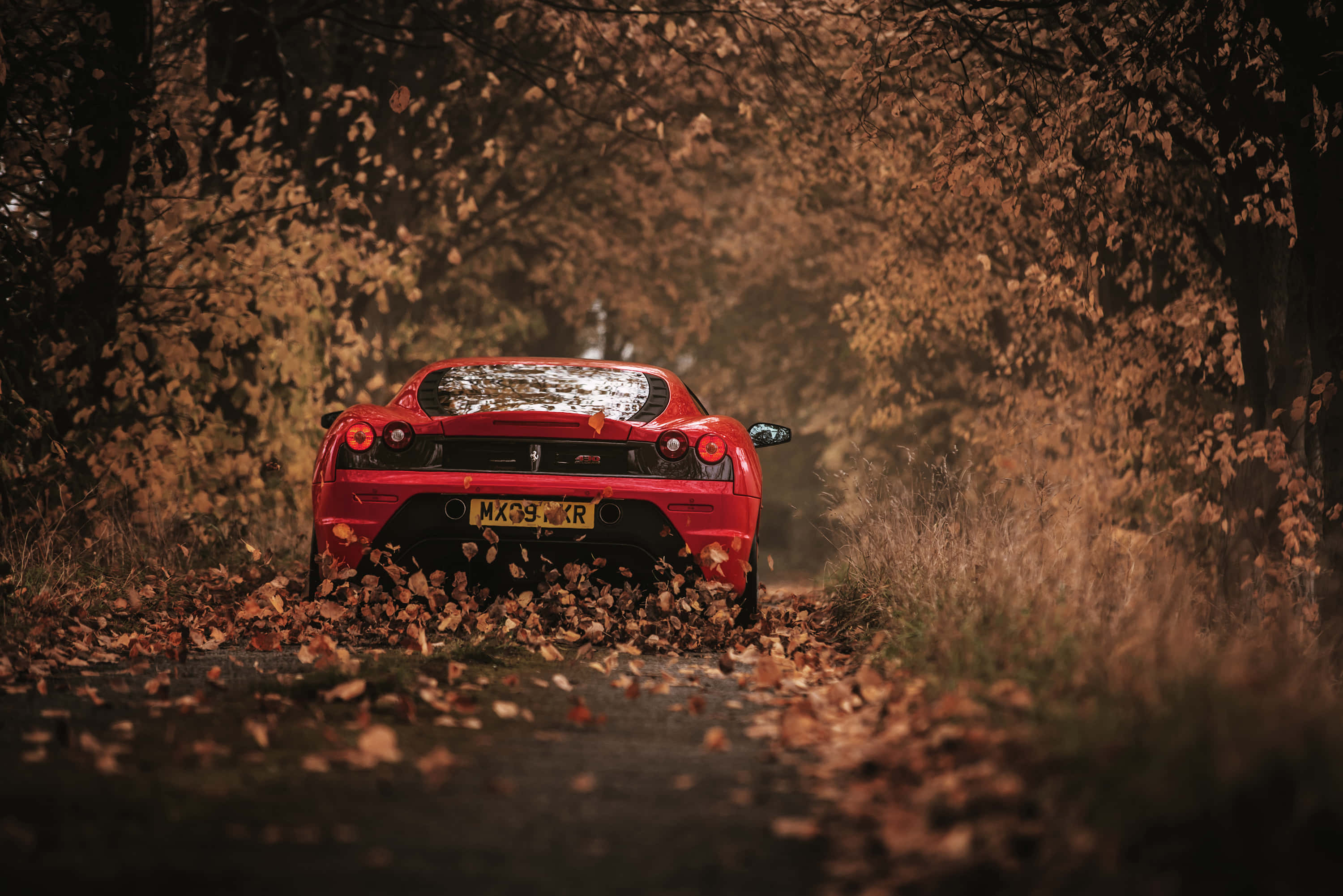 Ferrari, red sports car, autumn trees, 2K Desktop Wallpaper