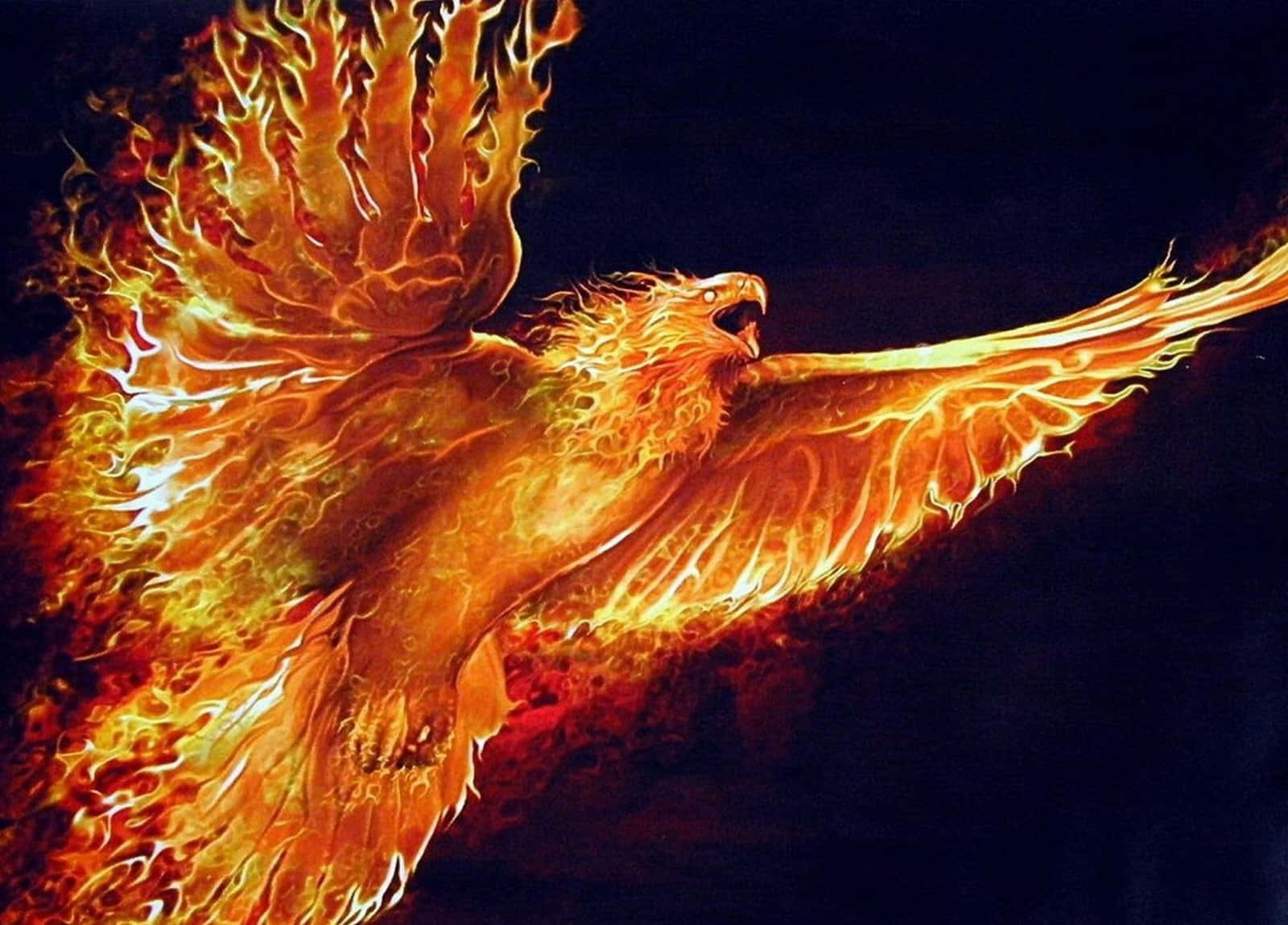 cool fire, fiery phoenix, dark night sky, HD Desktop Wallpaper