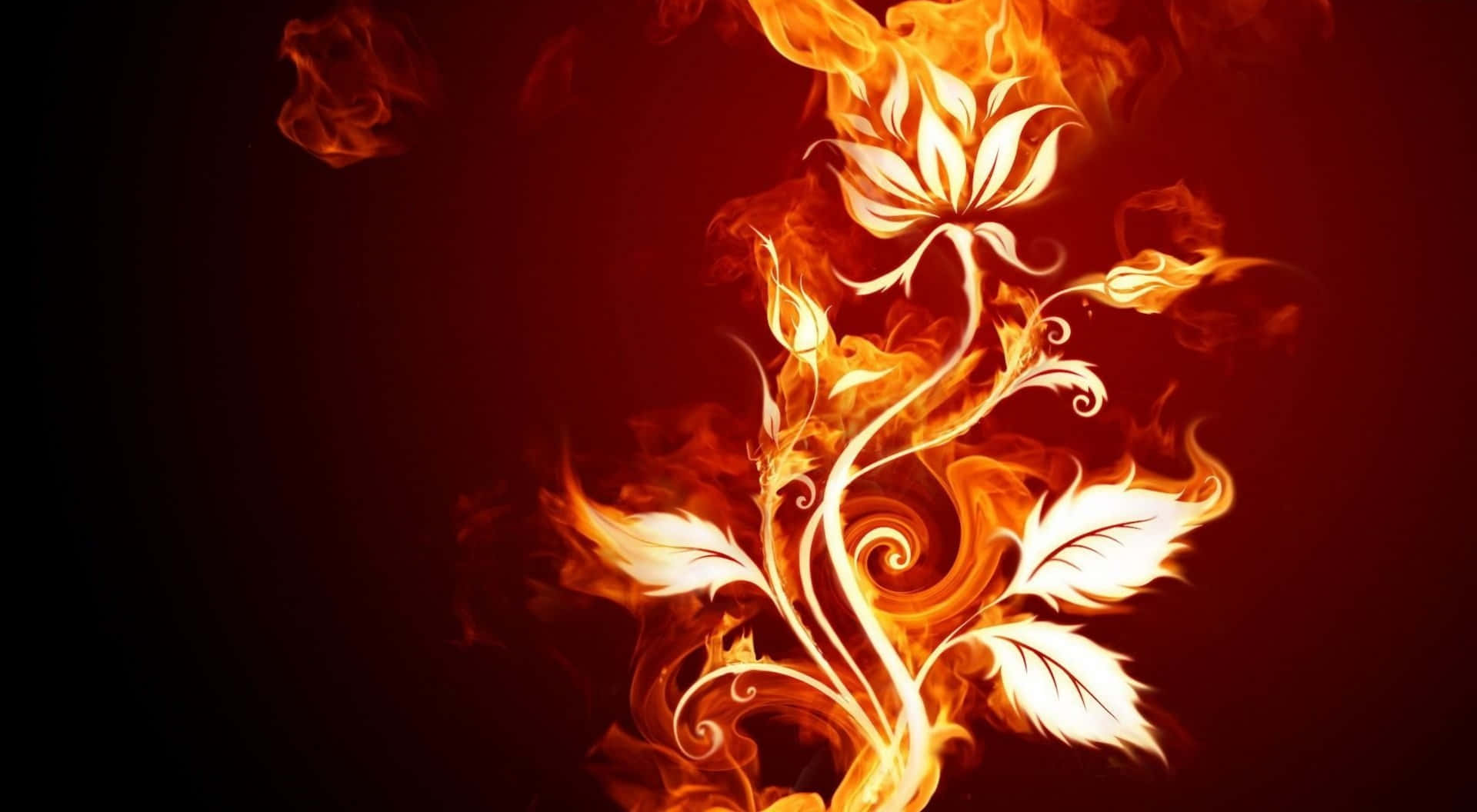 Cool Fire, floral vine, orange flames, Full HD Desktop Wallpaper