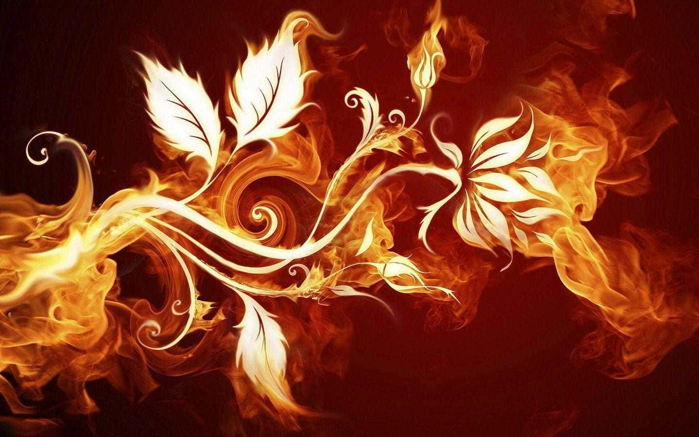 Cool Fire, white flowers, leaves, HD Desktop Wallpaper